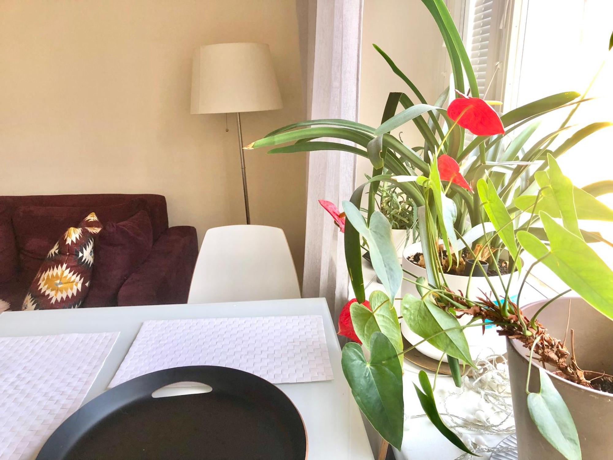 הלסינקי Scandinavian Desing Home 37 City Center In Kamppi מראה חיצוני תמונה
