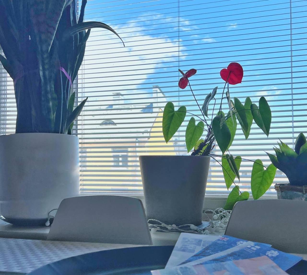 הלסינקי Scandinavian Desing Home 37 City Center In Kamppi מראה חיצוני תמונה